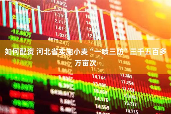 如何配资 河北省实施小麦“一喷三防”三千五百多万亩次